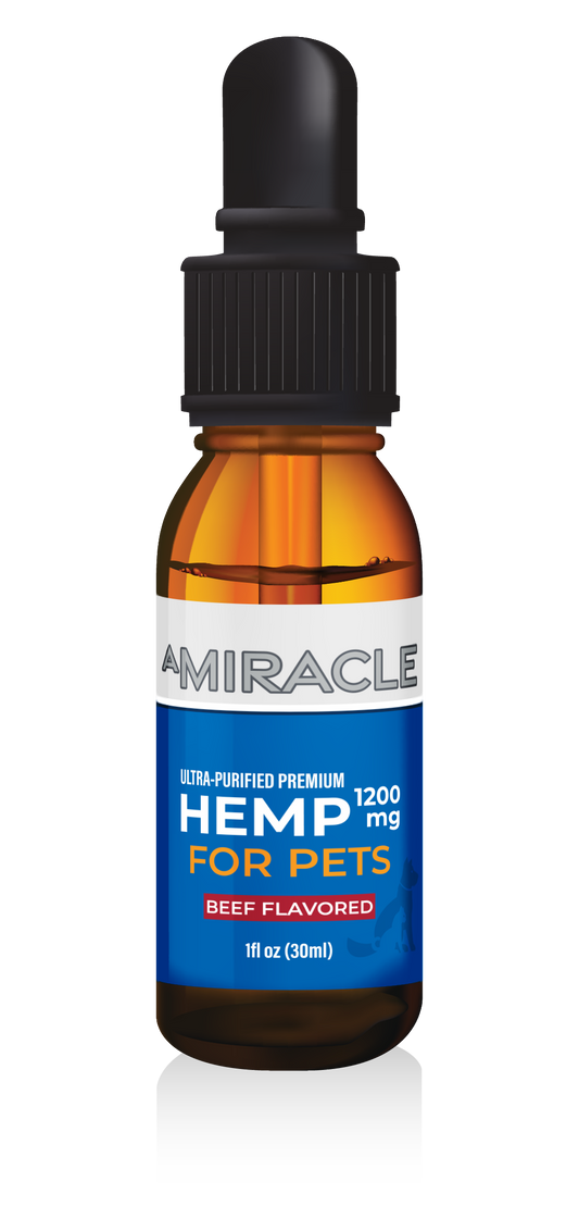 Hemp Pet Oil 1200mg Beef Flavor